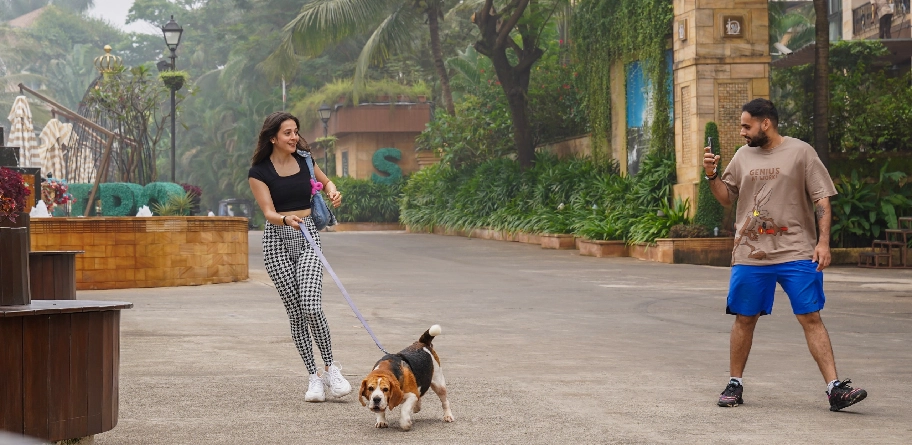 Treat your loyal pets to a fabulous vacation at Della