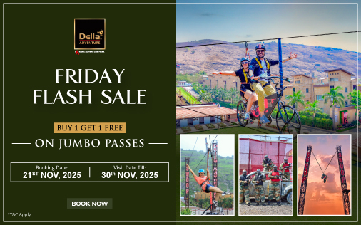 FRIDAY FLASH SALE - 21 Nov 2025