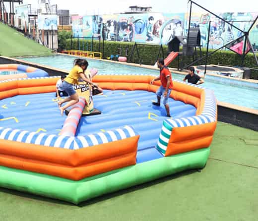 Play Della Knockout at Della Adventure