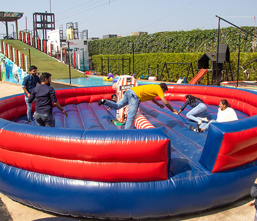 Play Della Knockout at Della Adventure