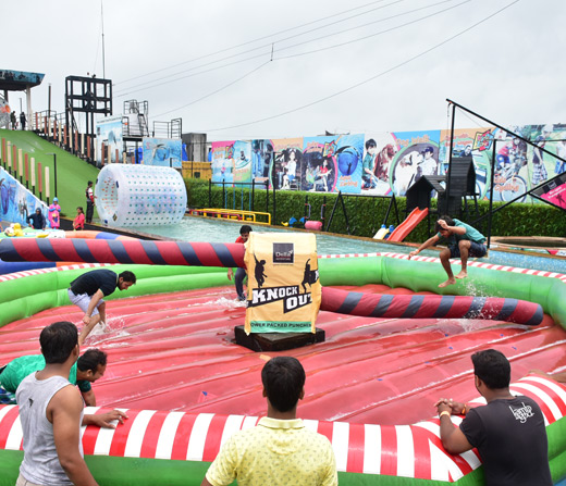 Play Della Knockout at Della Adventure