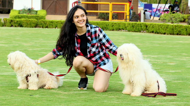 Go for a walk with our Dogs at Della Adventure Park