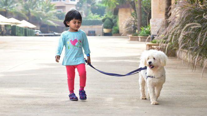 Kids favorite Dog Walk is at Della