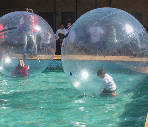 Play Water Zorbing at Della Adventure