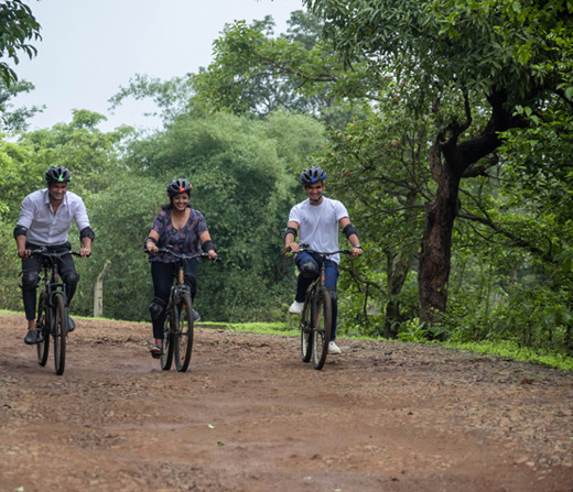 Try a Mountain Cycle activity at Della Adventure Park