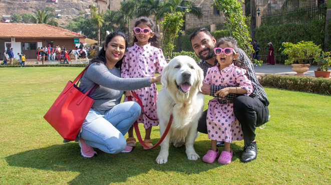 Go for a Walk with our cute dogs at Della Adventure Park