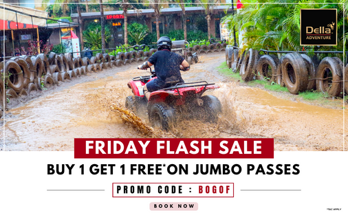 FRIDAY FLASH SALE